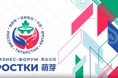 Круглый стол «Перспективы международного партнерства для управления интеллектуальной собственностью, наукой и инновациями» (в рамках Форума "РОСТКИ")